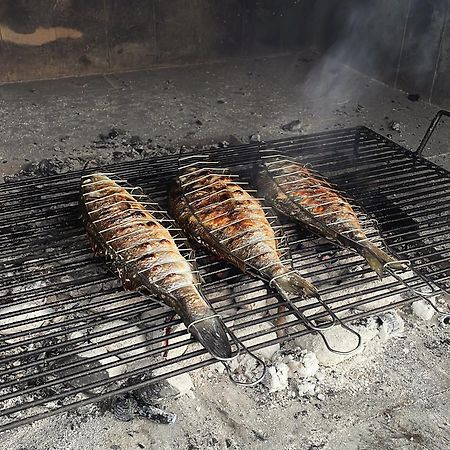 Elona Apartments سيلينا المظهر الخارجي الصورة